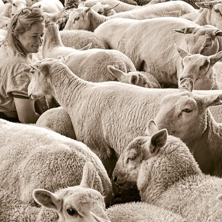 MEAT CLUB 03 - SHEEP